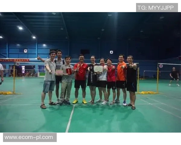南京羽毛球队在联赛中的团队协作表现分析与评价