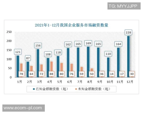 南京足球队耐力表现数据分析探讨与比赛策略优化研究