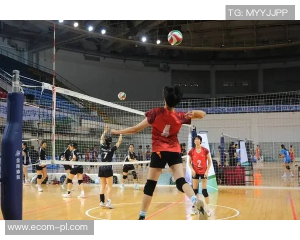 重庆排球队的耐力探秘与排球巨献的精彩瞬间 重庆排球队的耐力探秘与排球巨献的精彩瞬间