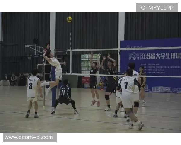 深圳排球队的崛起与发展:聚焦力量与团队精神的完美结合 深圳排球队的崛起与发展:聚焦力量与团队精神的完美结合