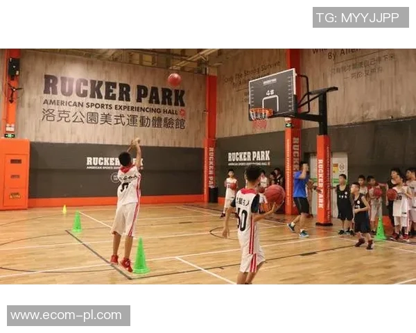 篮球专题：聚焦上海篮球队的团队协作